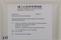 登錄號:F0035053藏品圖，第2張