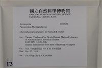 登錄號:F0035054藏品圖，第2張