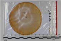 登錄號:F0035054藏品圖，第1張