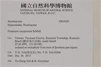 登錄號:F0035055藏品圖，第2張