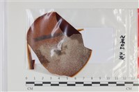 登錄號:F0035056藏品圖，第1張