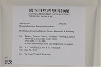 登錄號:F0035057藏品圖，第2張