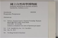 登錄號:F0035058藏品圖，第2張