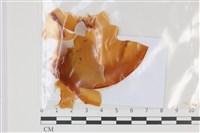 登錄號:F0035058藏品圖，第1張