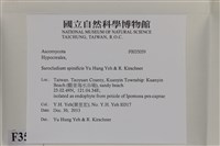登錄號:F0035059藏品圖，第2張