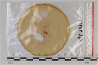 登錄號:F0035059藏品圖，第1張