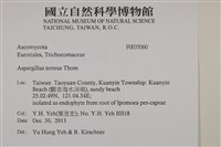 館號:F0035060藏品圖，第2張