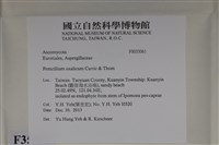 登錄號:F0035061藏品圖，第2張
