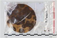 登錄號:F0035061藏品圖，第1張