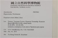 登錄號:F0035062藏品圖，第2張