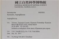 登錄號:F0035063藏品圖，第2張
