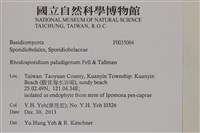 登錄號:F0035064藏品圖，第2張