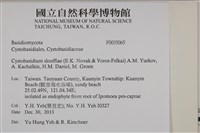 登錄號:F0035065藏品圖，第2張