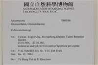登錄號:F0035066藏品圖，第2張
