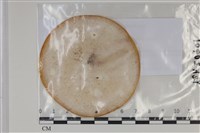登錄號:F0035066藏品圖，第1張