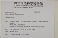 登錄號:F0035067藏品圖，第2張