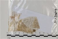登錄號:F0035067藏品圖，第1張
