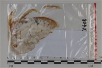 登錄號:F0035068藏品圖，第1張