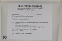 登錄號:F0035069藏品圖，第2張