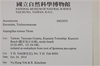 館號:F0035070藏品圖，第2張