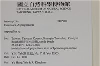 登錄號:F0035071藏品圖，第2張