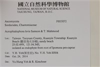 登錄號:F0035072藏品圖，第2張