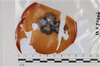 登錄號:F0035072藏品圖，第1張