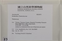 登錄號:F0035073藏品圖，第2張