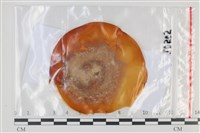 登錄號:F0035073藏品圖，第1張