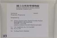 登錄號:F0035075藏品圖，第2張