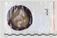 登錄號:F0035075藏品圖，第1張