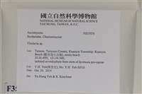 登錄號:F0035076藏品圖，第2張