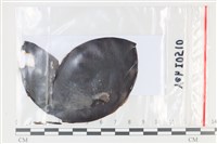 登錄號:F0035076藏品圖，第1張