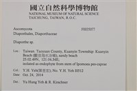 登錄號:F0035077藏品圖，第2張