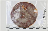 登錄號:F0035077藏品圖，第1張