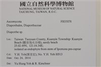 登錄號:F0035078藏品圖，第2張