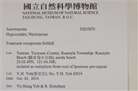 登錄號:F0035079藏品圖，第2張