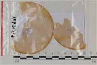 登錄號:F0035079藏品圖，第1張