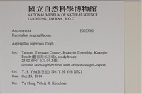 登錄號:F0035080藏品圖，第2張