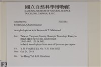 登錄號:F0035081藏品圖，第2張