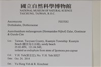 登錄號:F0035082藏品圖，第2張
