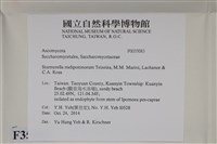 登錄號:F0035083藏品圖，第2張