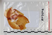 登錄號:F0035083藏品圖，第1張