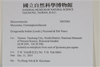 登錄號:F0035084藏品圖，第2張