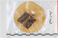 登錄號:F0035084藏品圖，第1張