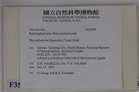 登錄號:F0035085藏品圖，第2張