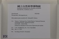 登錄號:F0035086藏品圖，第2張