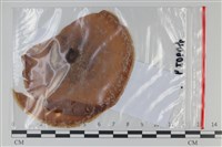 登錄號:F0035086藏品圖，第1張