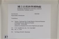 登錄號:F0035088藏品圖，第2張