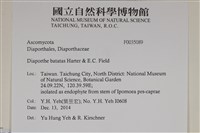 登錄號:F0035089藏品圖，第2張